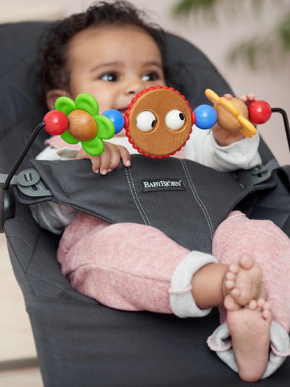 Baby Bjorn Bouncer